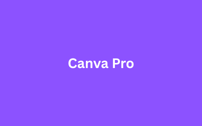 Canva Pro — 1 Year Upgrade